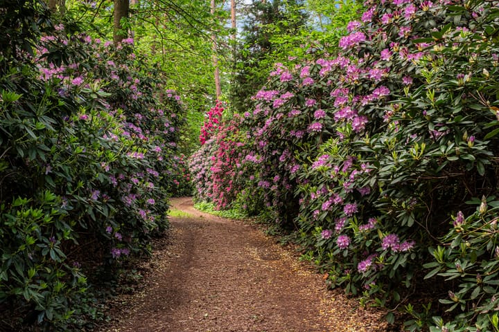 Foto 33 van Kapelweg 1-A