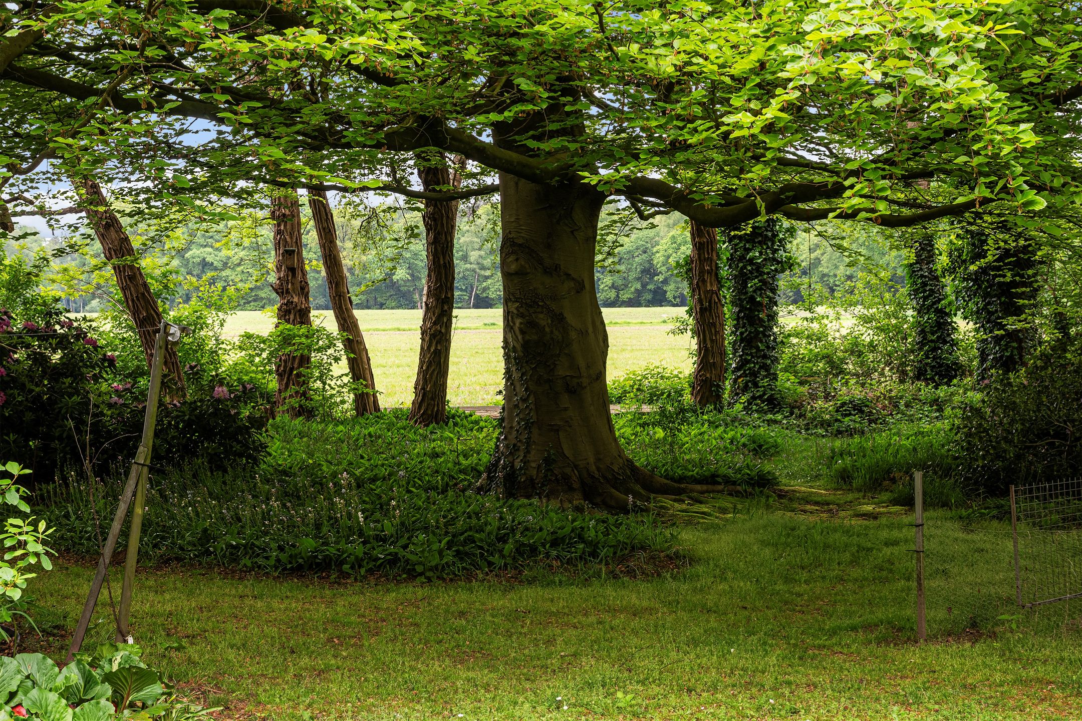 Foto 36 van Kapelweg 1-A