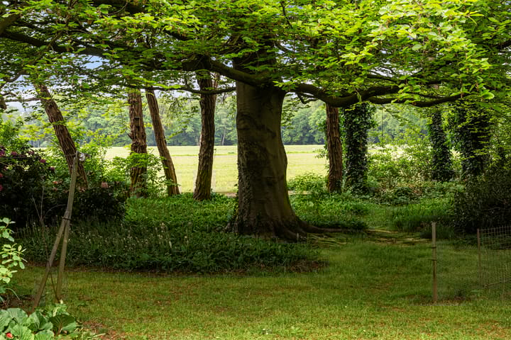 Foto 36 van Kapelweg 1-A