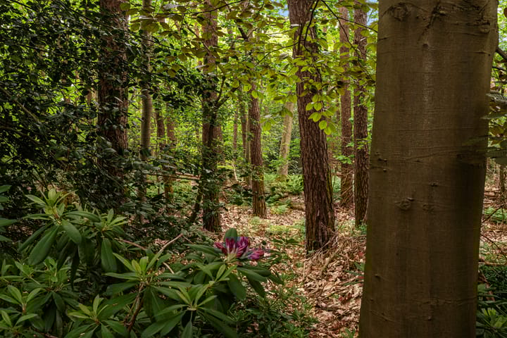 Foto 38 van Kapelweg 1-A