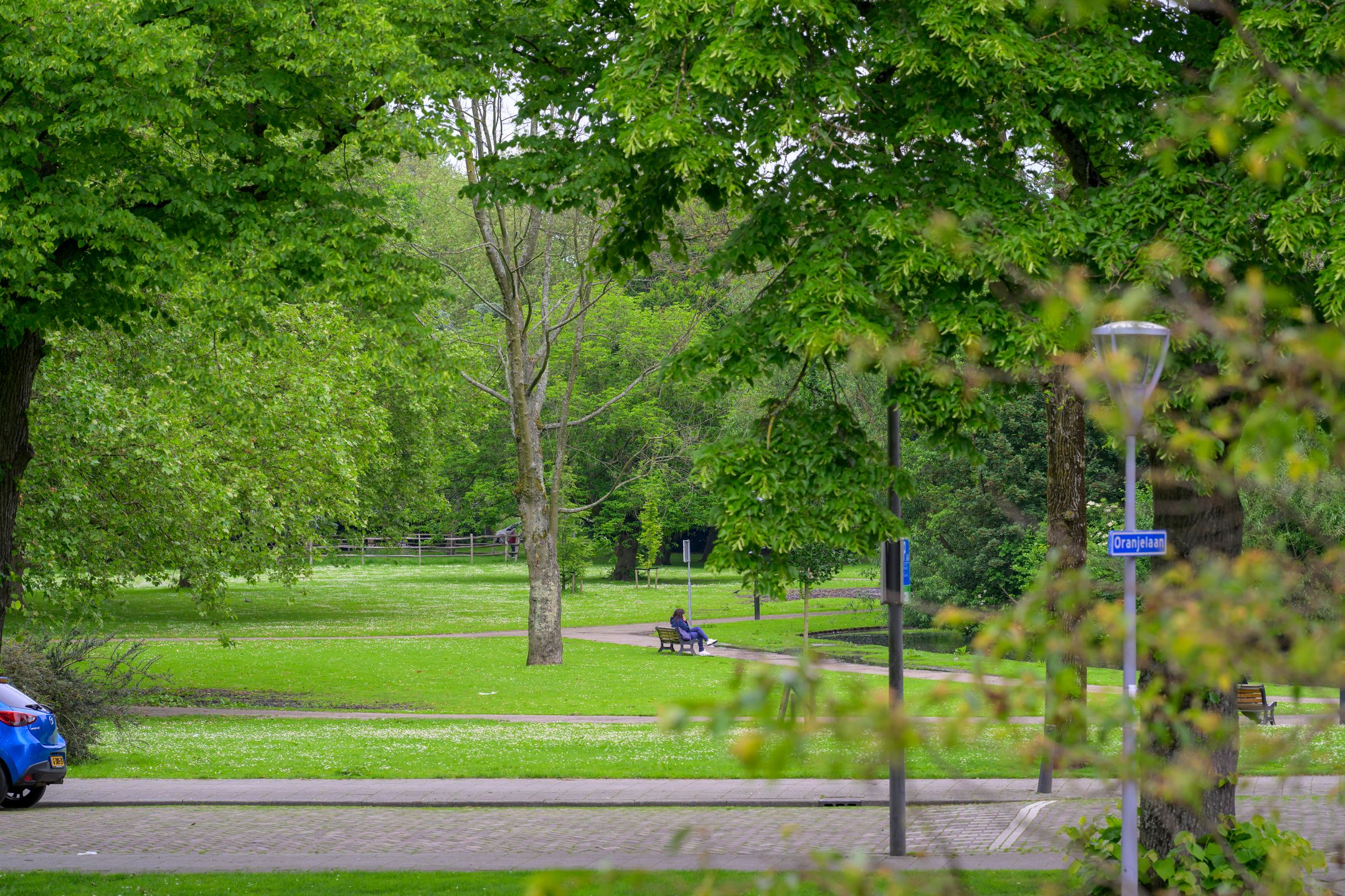 Photo 6 of Merulaweg 1-C