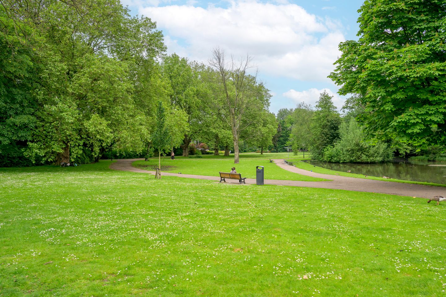 Photo 29 of Merulaweg 1-C