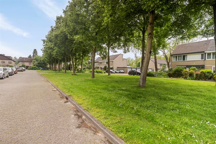 Bekijk foto 27 van Alsemhof 19