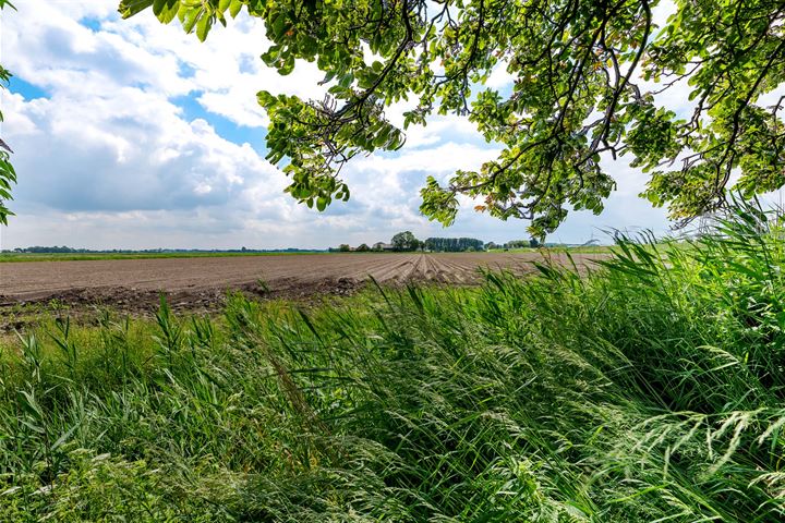 Bekijk foto 29 van Potenblokseweg 5