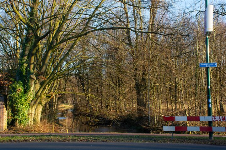 Bekijk foto 35 van Looydijk 36