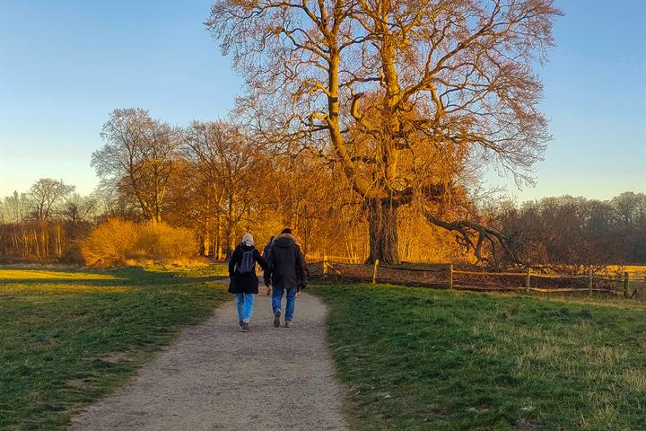 Bekijk foto 37 van Looydijk 36