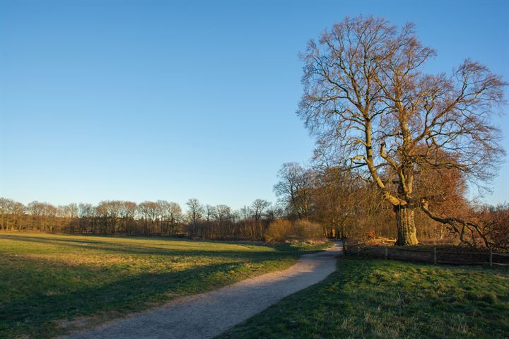 Bekijk foto 38 van Looydijk 36