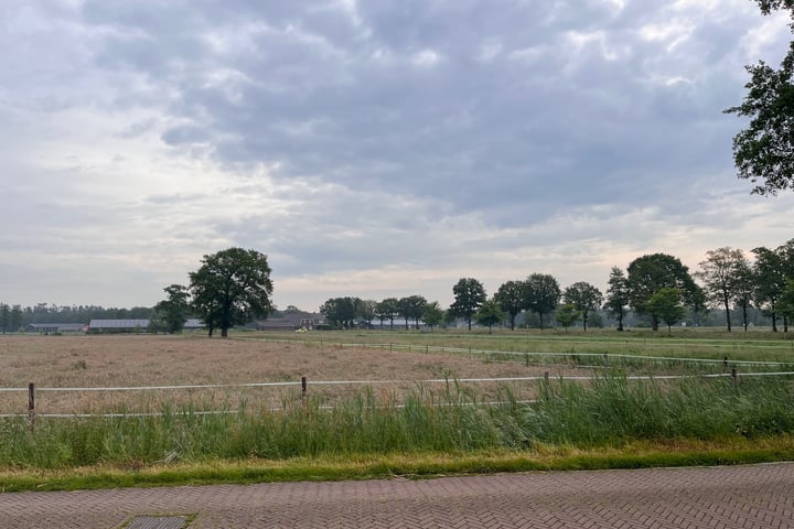 Foto 5 van Geertserve 14