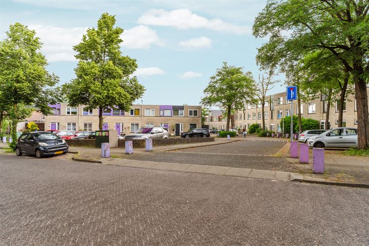 Bekijk foto 39 van Ridderspoor 32