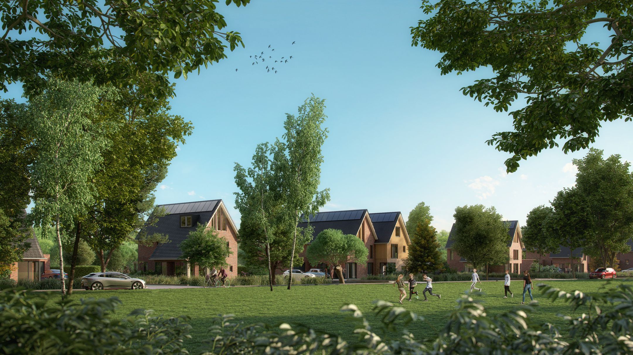 Image of Dordtse Pracht