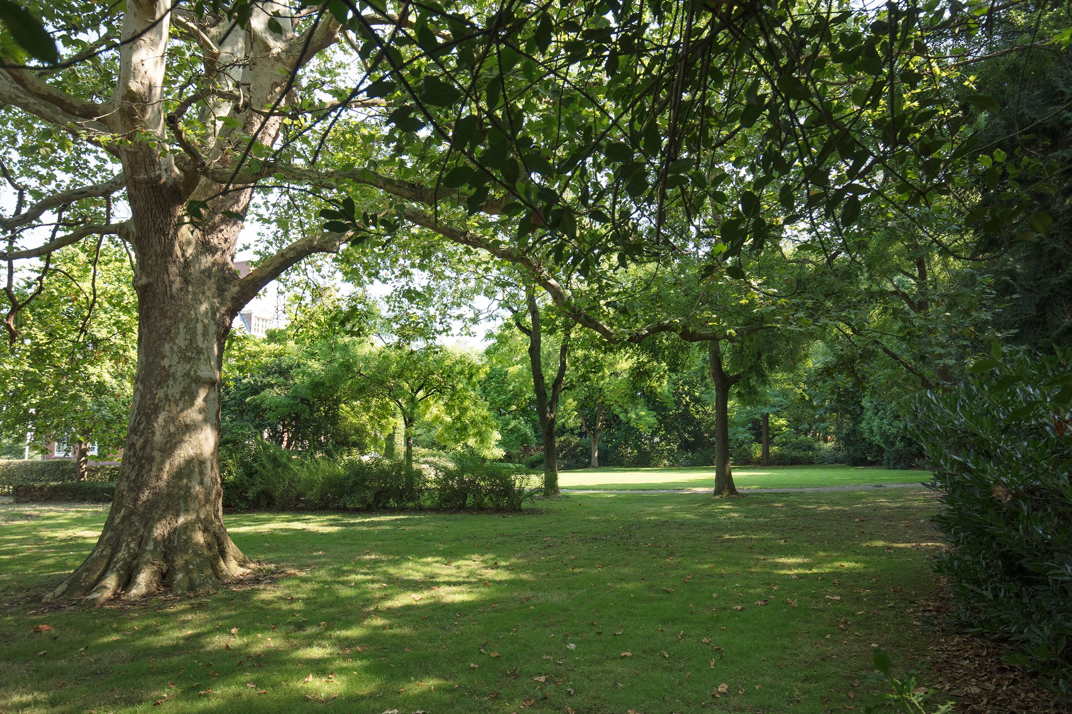 Foto 18 van Valkenburgerweg 167