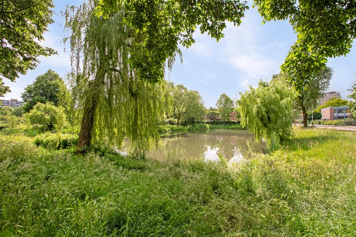 Bekijk foto 33 van Zangvogelweg 3