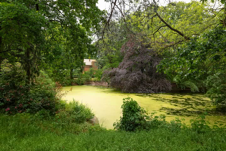Foto 41 van Vivaldipark 46
