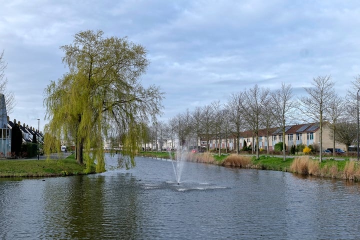 Bekijk foto 37 van Zeearend 20