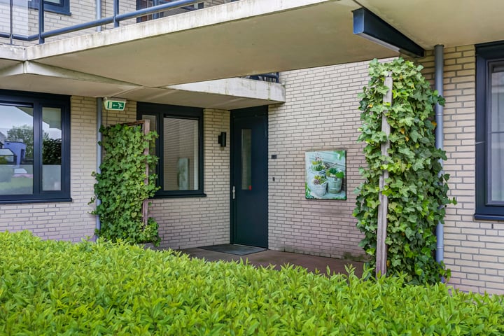 Foto 2 van Steurstraat 81