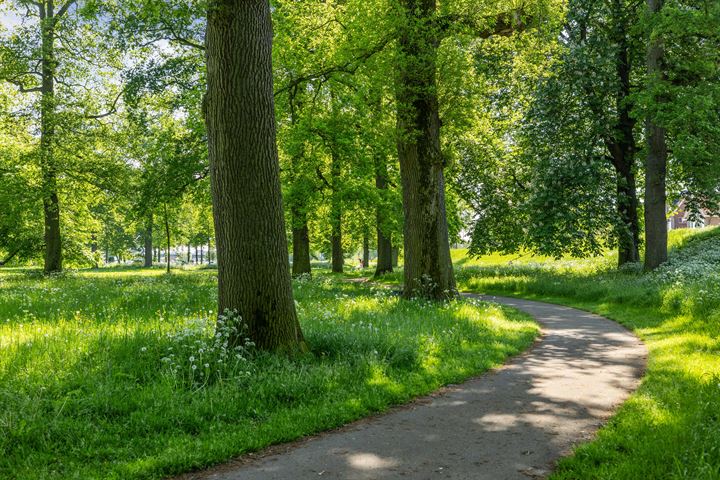 Bekijk foto 35 van Rozenstraat 61