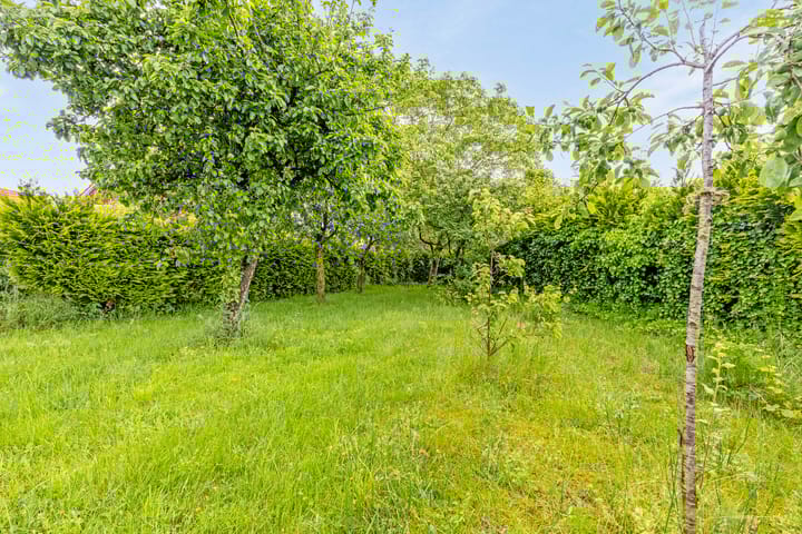 Foto 3 van Evenheuvel 5