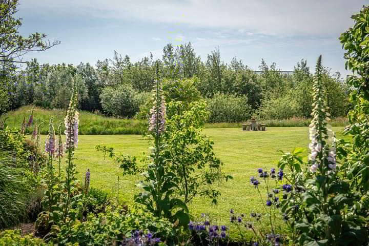 Foto 6 van Ongeren 7