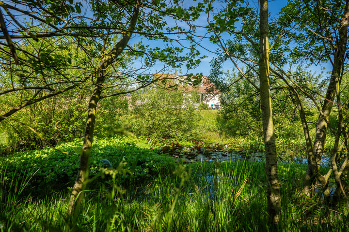 Foto 11 van Ongeren 7