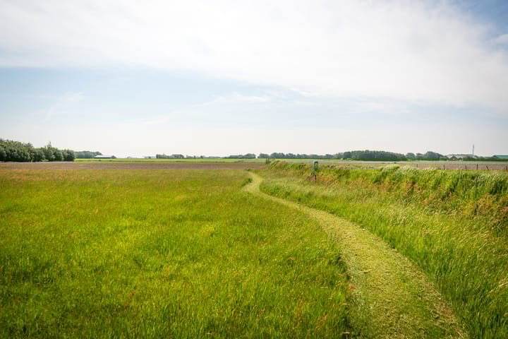 Foto 14 van Ongeren 7