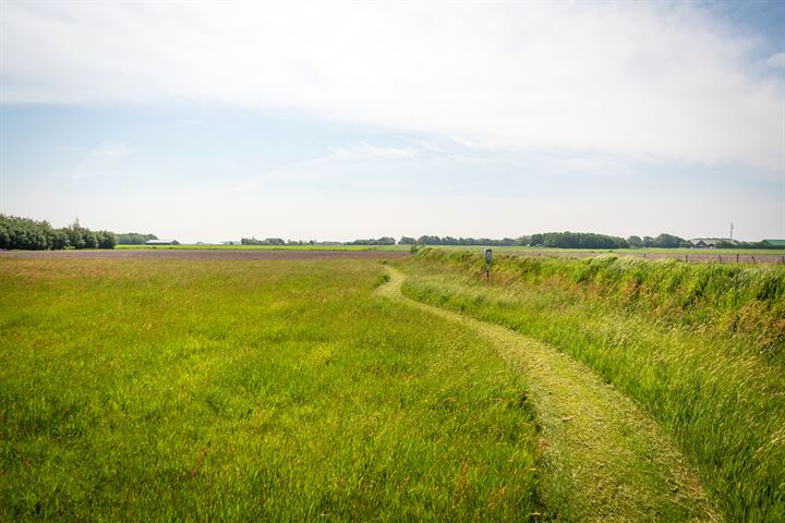 Bekijk foto 14 van Ongeren 7