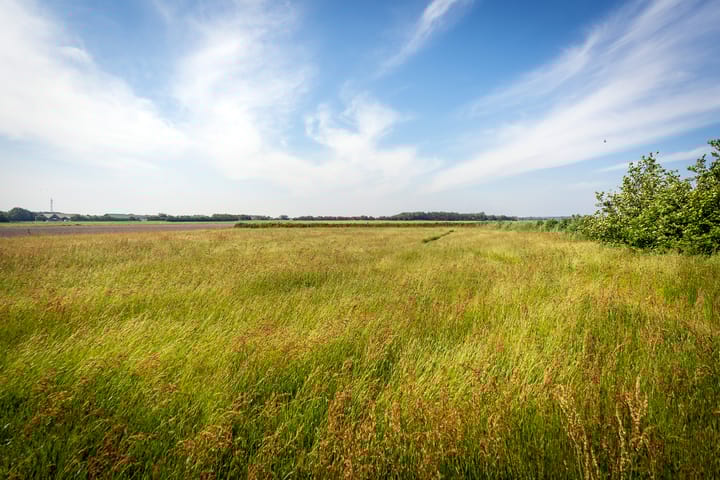 Foto 15 van Ongeren 7