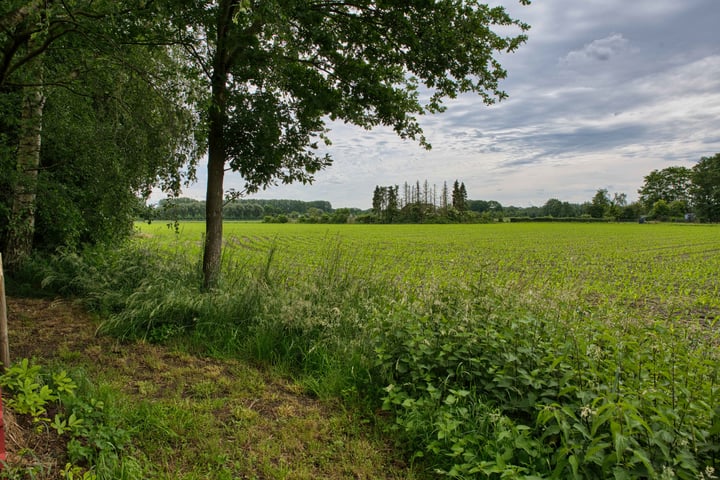 Bekijk foto 31 van Bredevoortsestraatweg 120