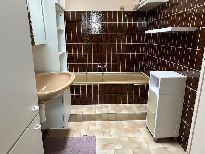 Foto 10 van Graafjansdijk B 24