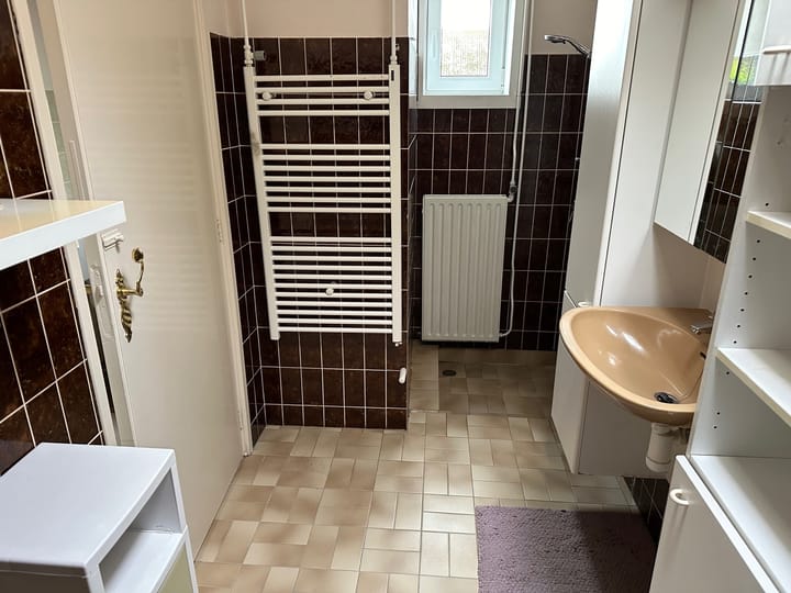 Foto 11 van Graafjansdijk B 24