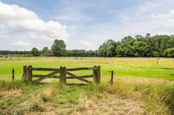 Foto 4 van Boelenhamsestraat 9