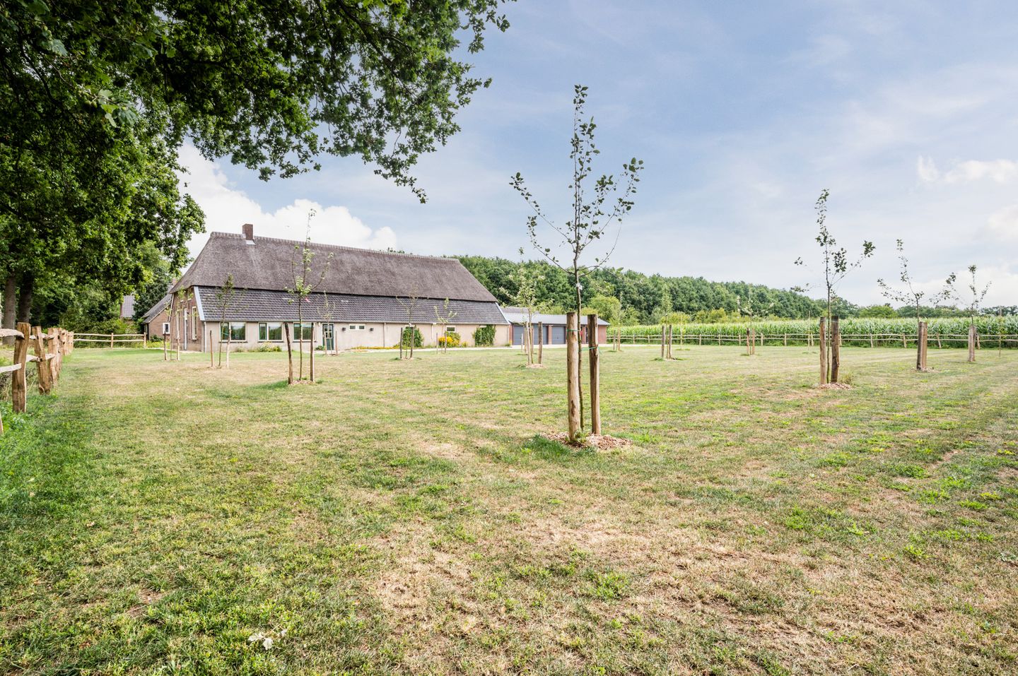 Foto 40 van Boelenhamsestraat 9