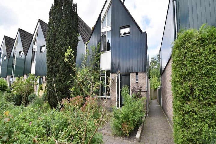 Roerdomp 9