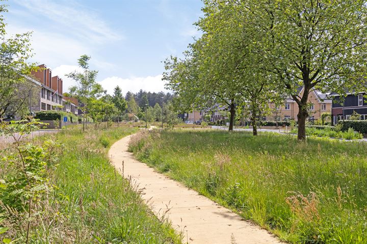 Bekijk foto 37 van Rijk Tigelaarstraat 124