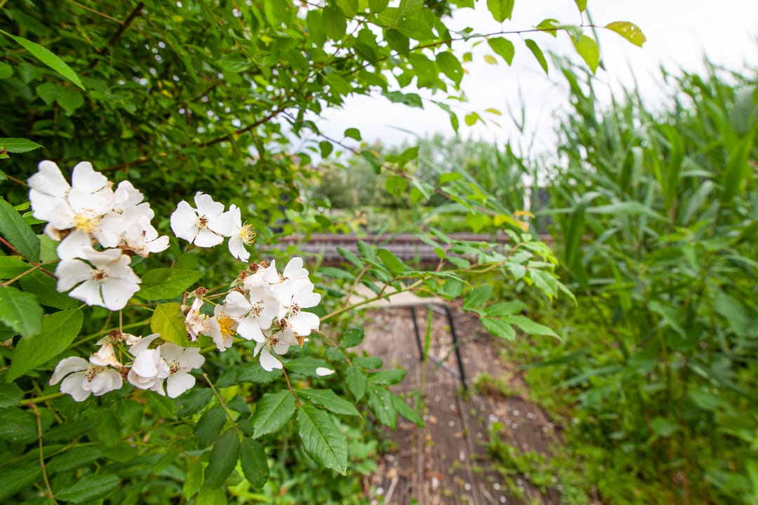 Foto 41 van Oosteinde 11-H91