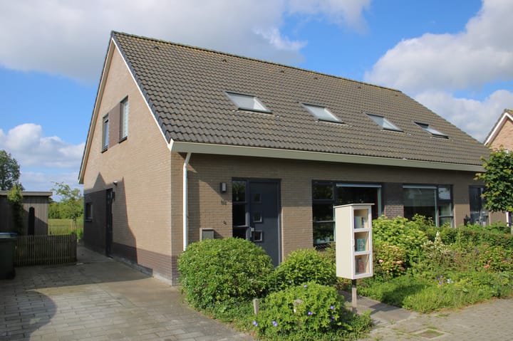 undefined main image
