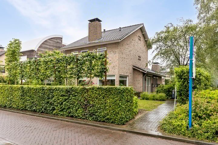 Bekijk foto 1 van De Geelgieter 15
