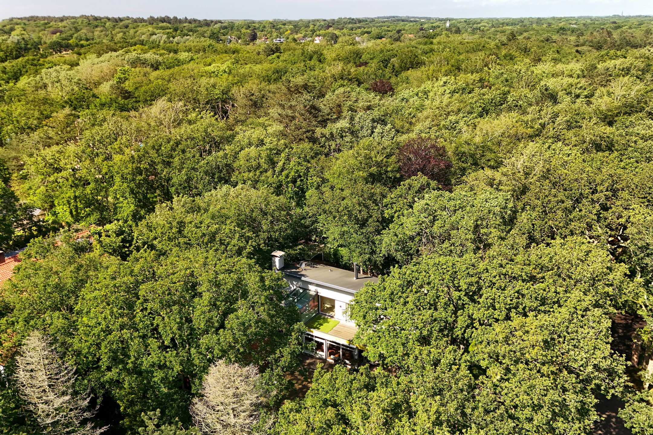 Photo 3 of Dennenlaan 7