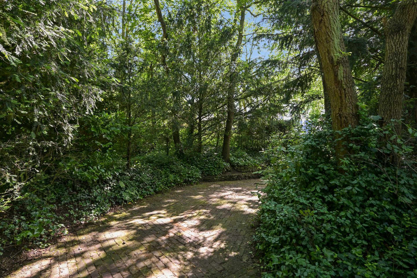 Photo 5 of Dennenlaan 7