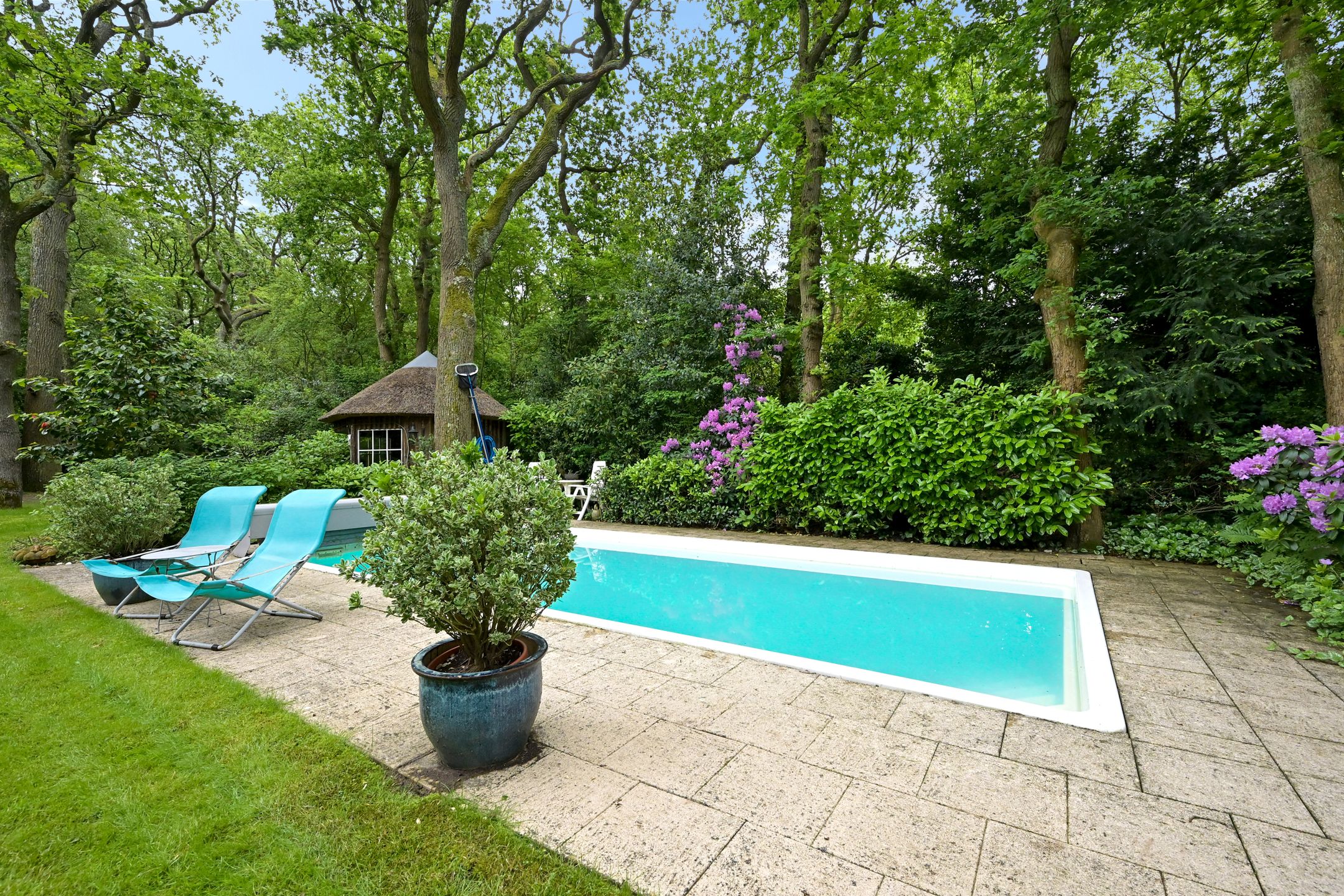 Photo 15 of Dennenlaan 7