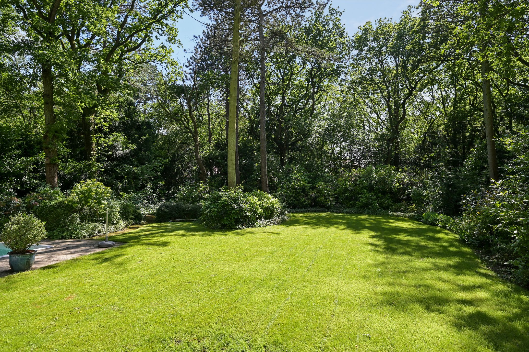 Photo 18 of Dennenlaan 7