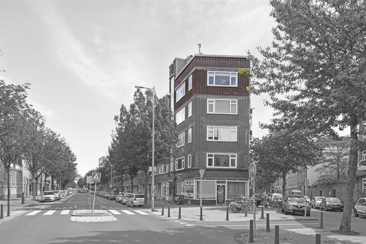 Bekijk foto 9 van Walenburgerweg 112-C04