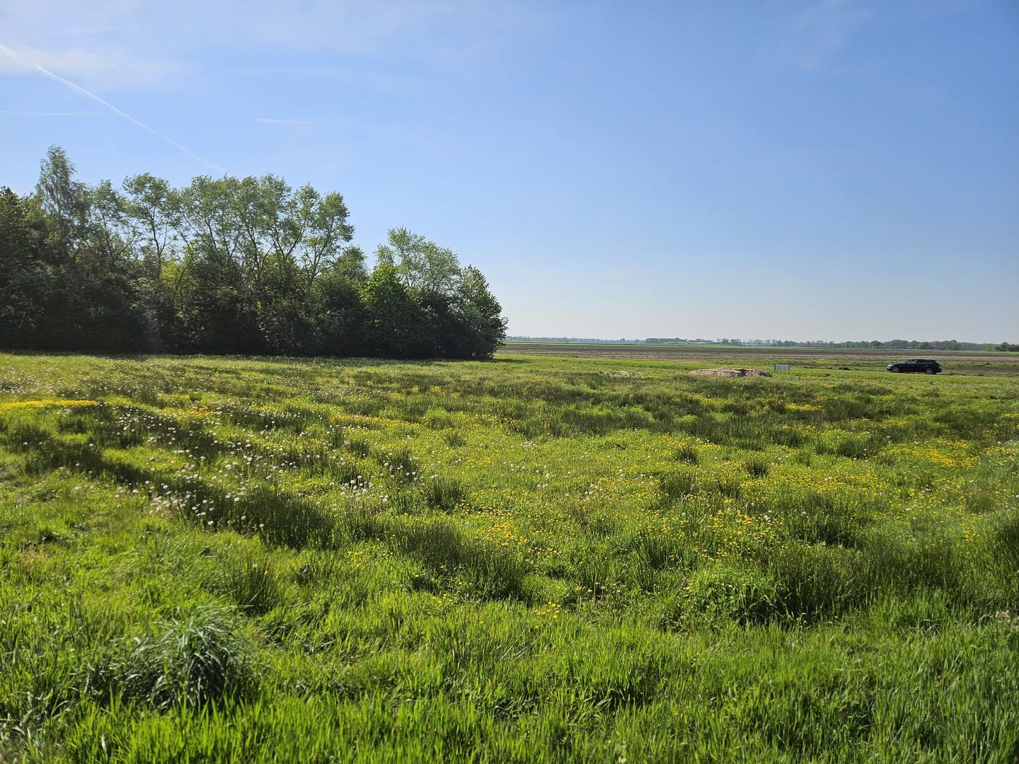 Foto 4 van Polderweg