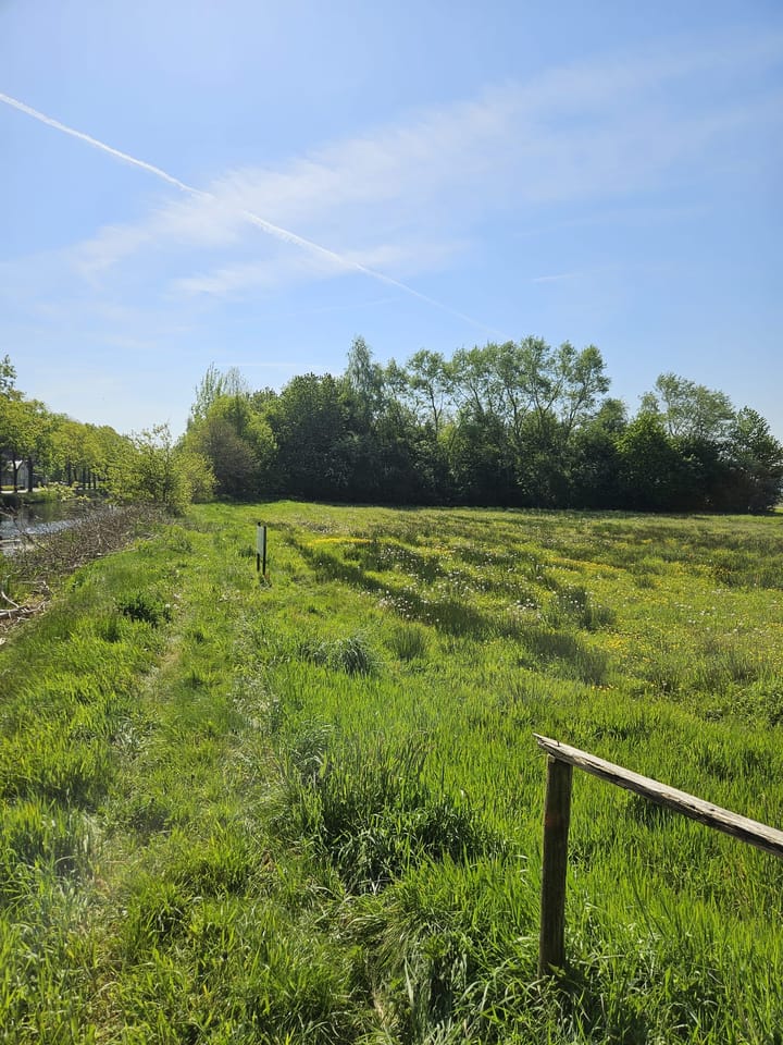 Foto 5 van Polderweg