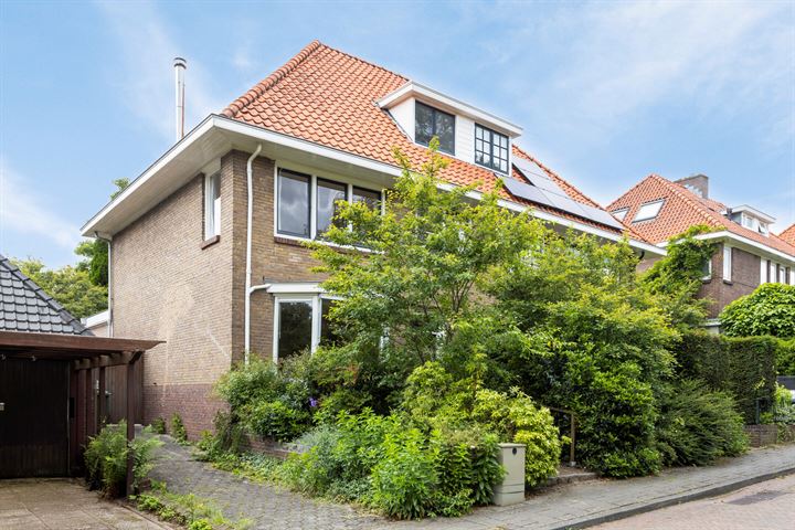 Bekijk foto 38 van Hobbemastraat 14