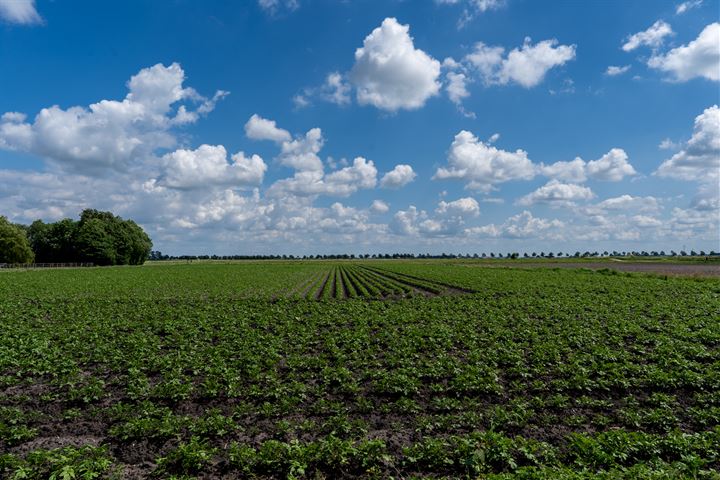 Bekijk foto 34 van J. Kammingakade 20