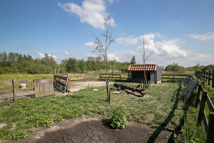 Bekijk foto 3 van Pieter Stuyvesantweg 141