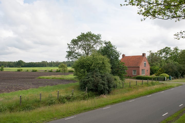 Bekijk foto 2 van Witterzomer 24