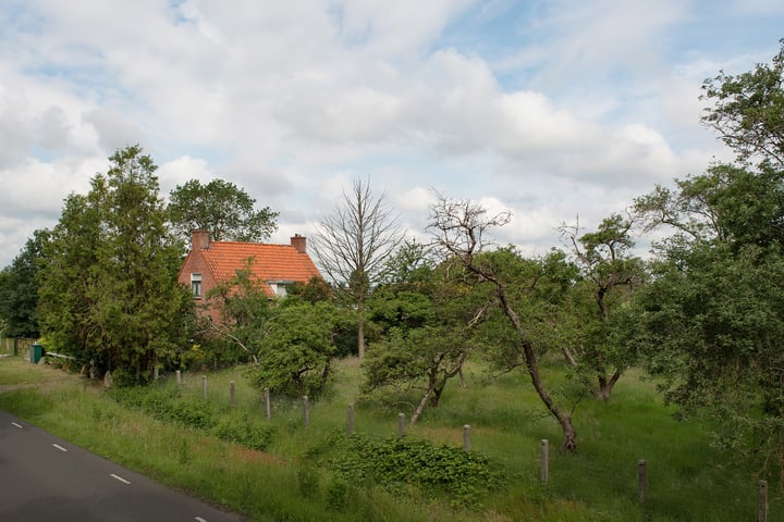 Bekijk foto 3 van Witterzomer 24