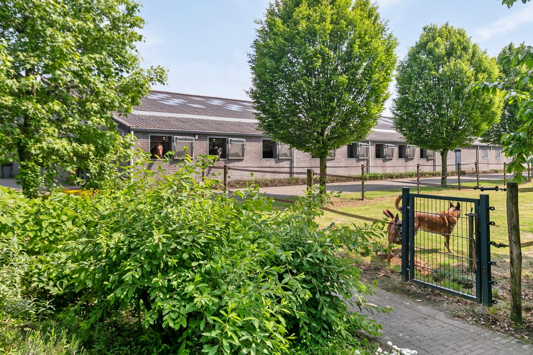 Foto 2 van Vlodropperweg 62