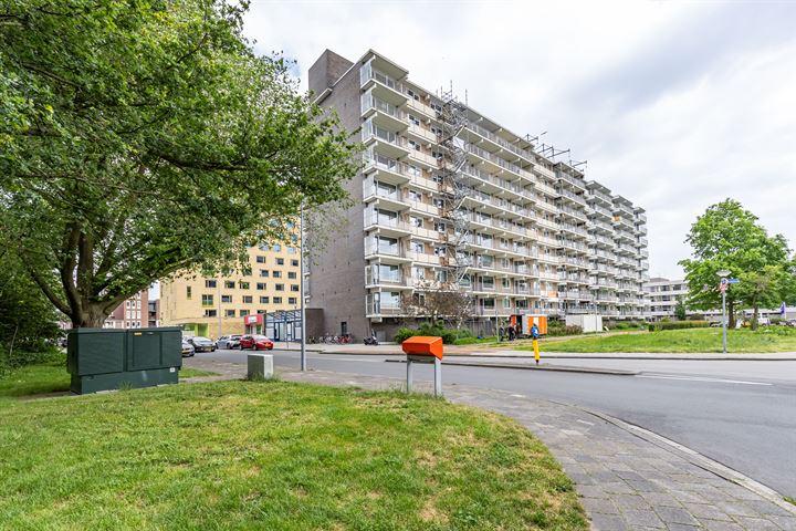 Bekijk foto 3 van Grote Beerstraat 288